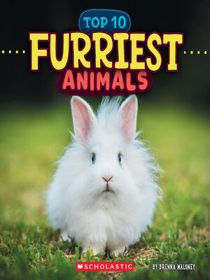 cover image of Furriest Animals